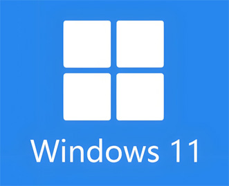 安装 Windows 11 提示这台电脑不符合所需的最低系统要求解决方案